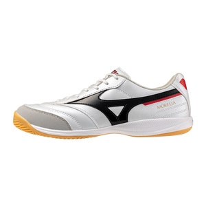 MORELIA SALA PRO IN