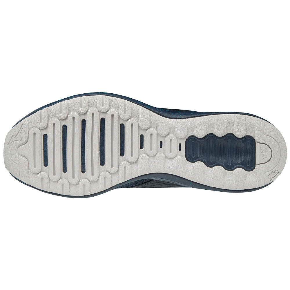 Wave polaris 2025
