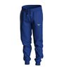 Mizuno Athletic  Joggers(M) SURF THE WEB