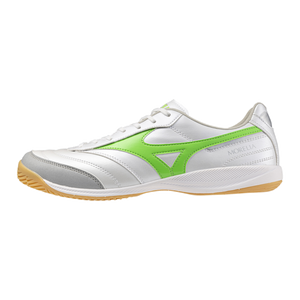 MORELIA SALA PRO IN