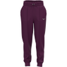 Mizuno Athletics Sweat pants Dark Purple
