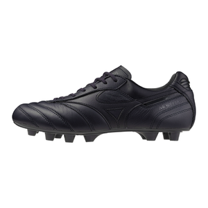 MORELIA II JAPAN LTD