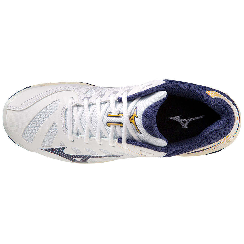 Mizuno WAVE VOLTAGE White/BlueRibbon/MP Gold