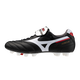 P1GA250001