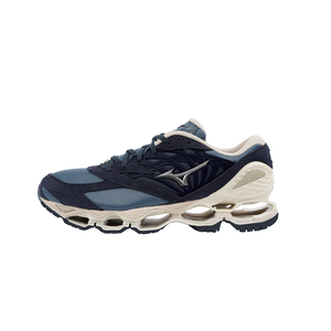Mizuno prophecy 19 deals