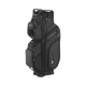BRD4C2309