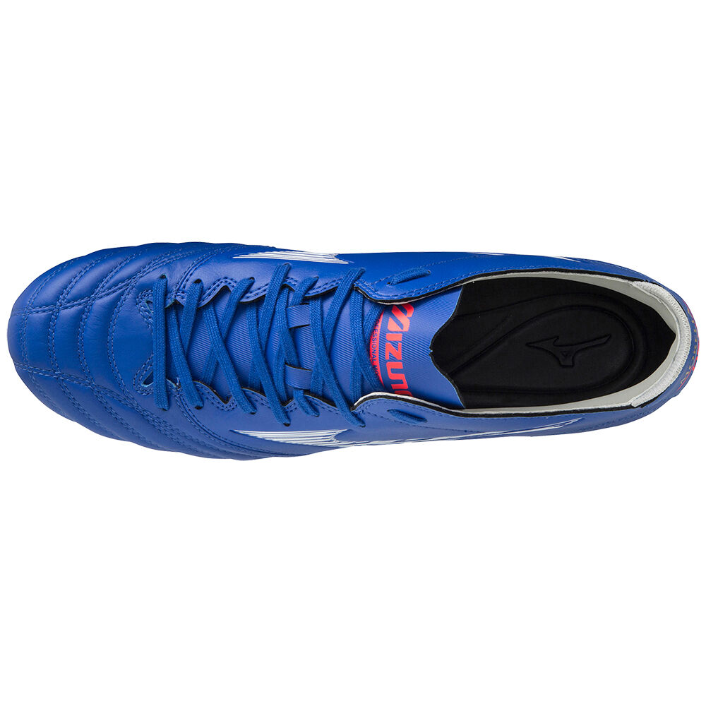 Morelia Neo 3 Promix