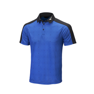Dynamic Polo