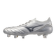P1GC254304