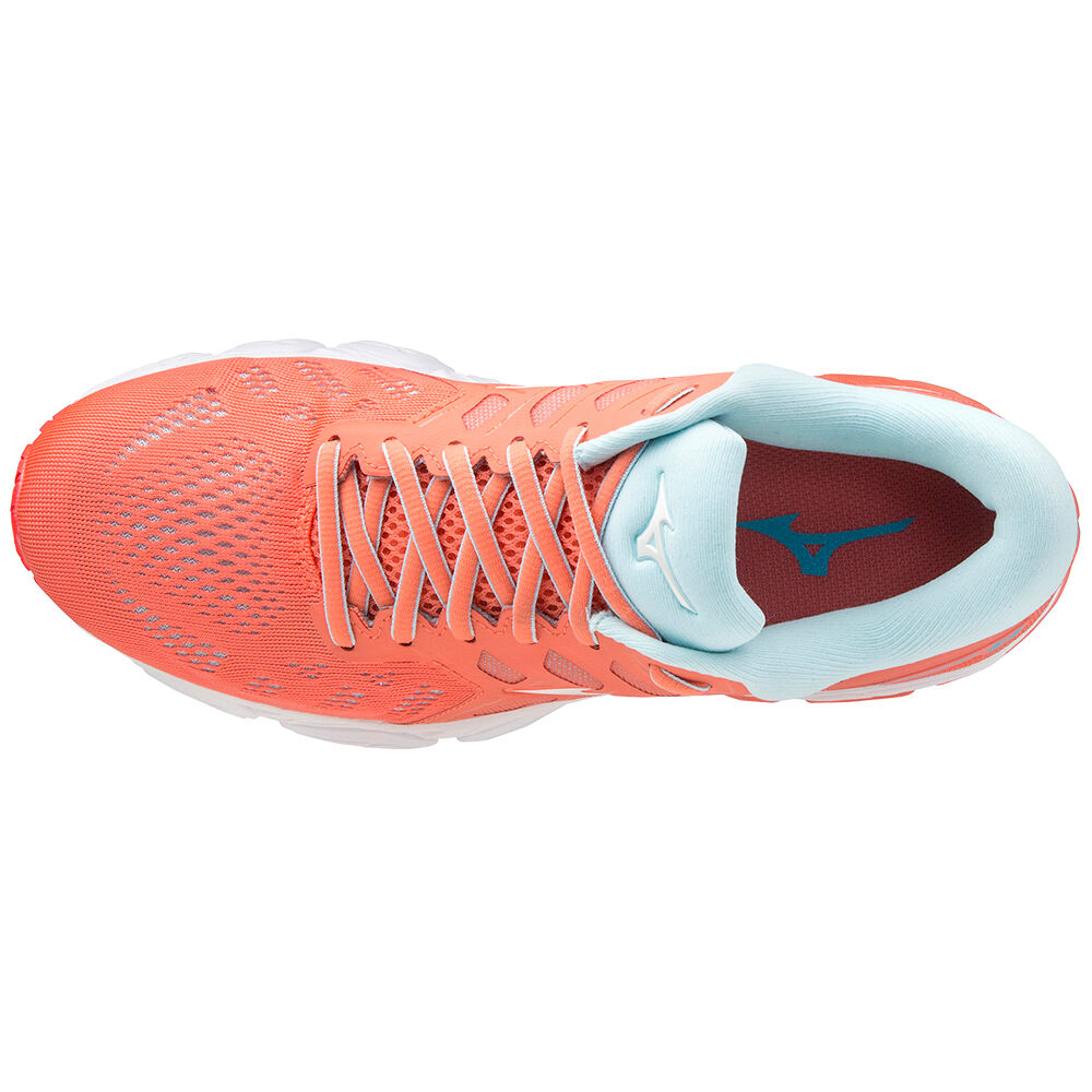 Mizuno wave sales ultima 3