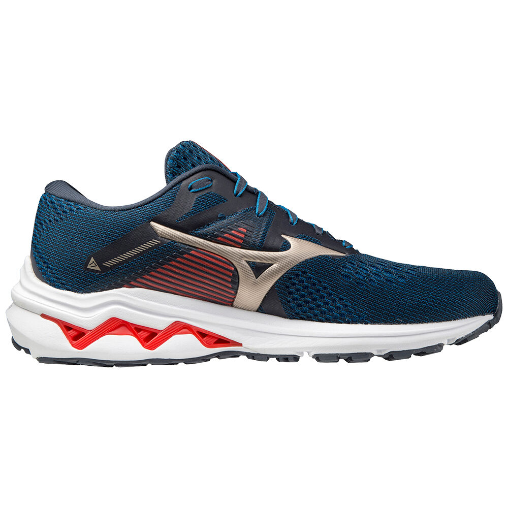 Mizuno wave rider discount 17 taille 41