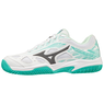 Mizuno Breakshot 3 CC 61GC212623
