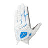 Mizuno Double Grip Glove M RH White/Blue