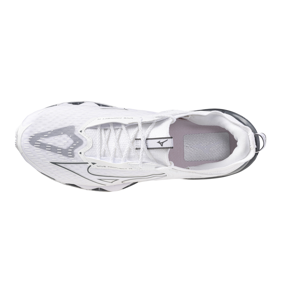 Mizuno INFINITY WAVE White/Metallic Gray