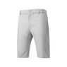 Mizuno Mizuno Reset Short Grey
