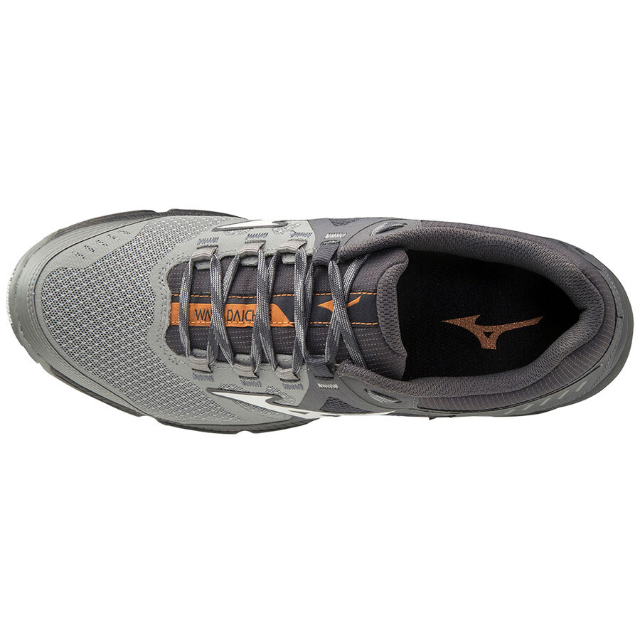 Mizuno Wave Daichi 5 FGray/NCloud/10135 C