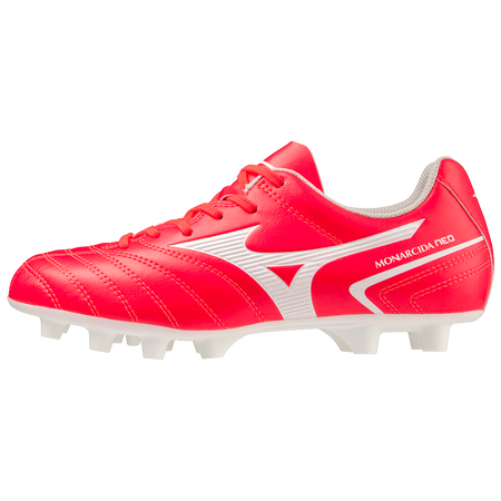 MonarcidaNeoIISel JR(C)