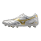 P1GA251004