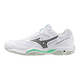 X1GA226016