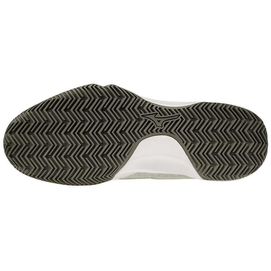 Mizuno Wave Flash Cc White/BSapphire/QShade