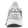 Mizuno Wave Momentum 2 V1GA211238
