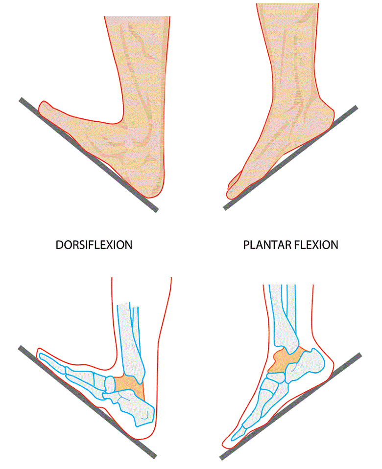 La movilidad del tobillo es un elemento que debes considerar al elegir el drop de la zapatilla  