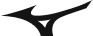 Mizuno